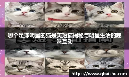 哪个足球明星的猫是美短猫揭秘与明星生活的趣味互动